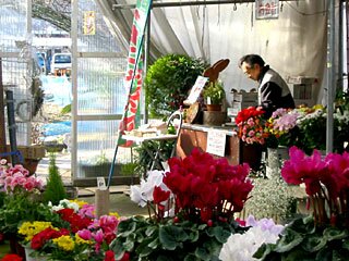 花家族