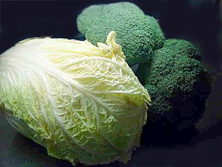 地元農家直送の白菜とブロッコリー