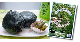 ハイキングプランのおにぎり